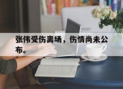 米兰体育app入口-张伟受伤离场，伤情尚未公布。