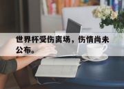 ac米兰-世界杯受伤离场，伤情尚未公布。
