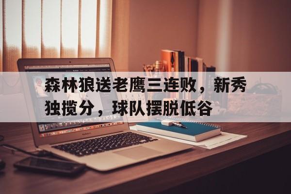 森林狼送老鹰三连败，新秀独揽分，球队摆脱低谷
